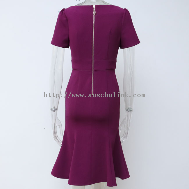 AUSCHALINK Design Short Sleeve Boat Neck Metal Zipper High Waist Lotus Leaf Hem Elegant Dress for Women
